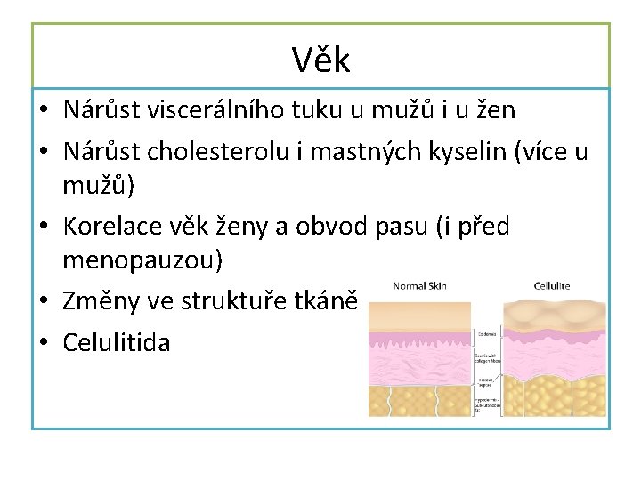 Věk • Nárůst viscerálního tuku u mužů i u žen • Nárůst cholesterolu i