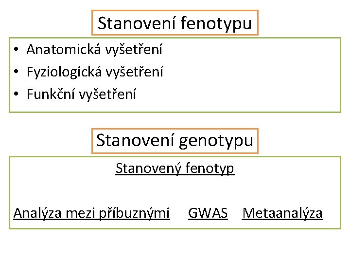 Stanovení fenotypu • Anatomická vyšetření • Fyziologická vyšetření • Funkční vyšetření Stanovení genotypu Stanovený