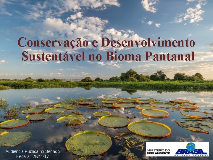 Conservação e Desenvolvimento Sustentável no Bioma Pantanal Audiência Pública no Senado Federal, 28/11/17 