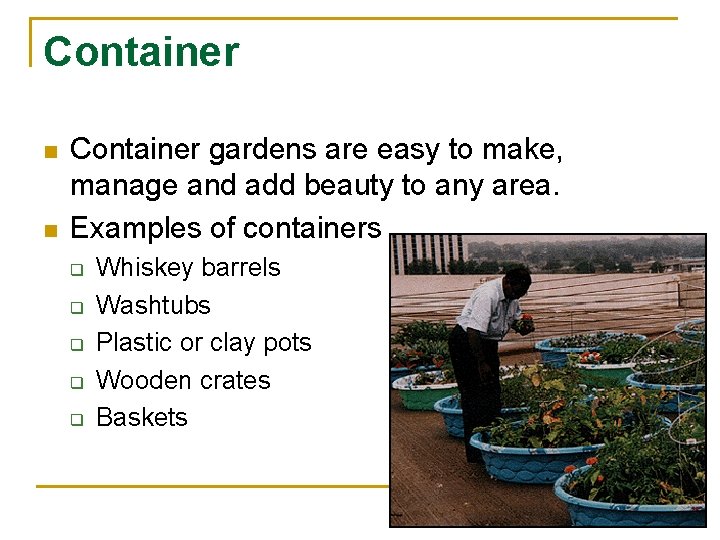Container n n Container gardens are easy to make, manage and add beauty to