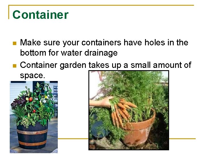 Container n n Make sure your containers have holes in the bottom for water