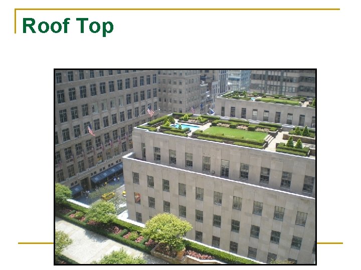 Roof Top 