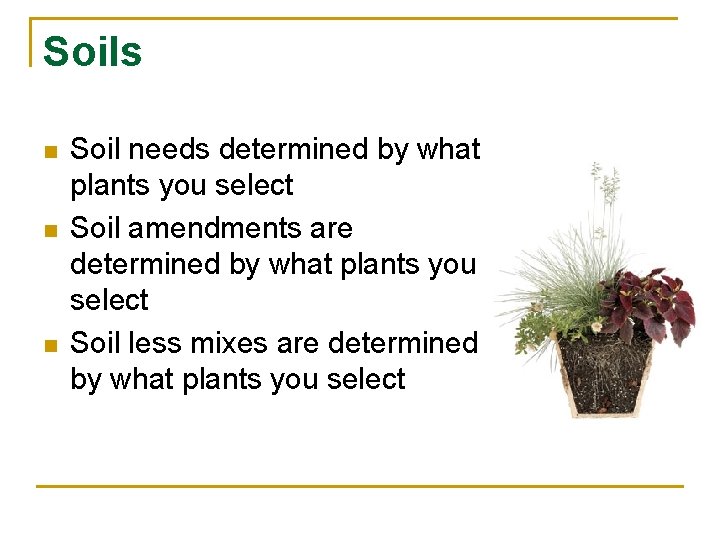 Soils n n n Soil needs determined by what plants you select Soil amendments