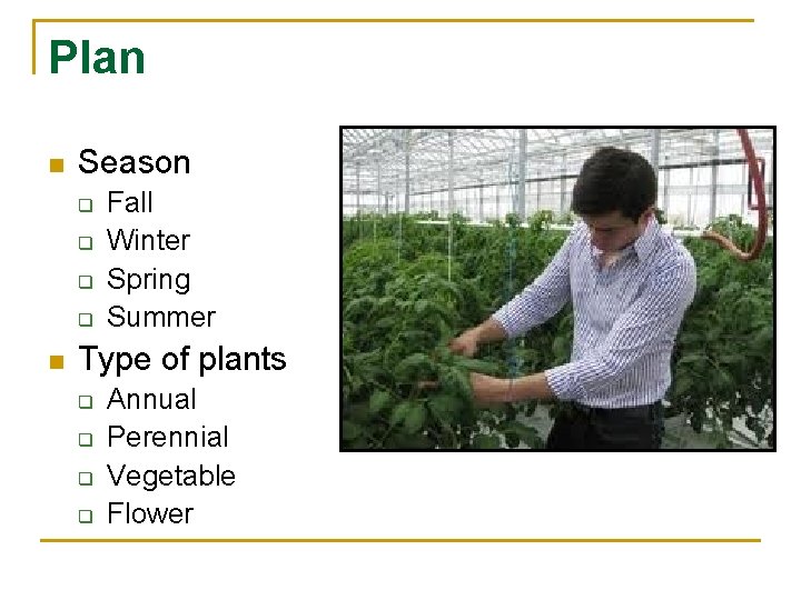 Plan n Season q q n Fall Winter Spring Summer Type of plants q