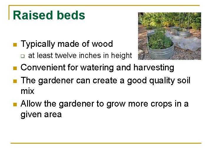 Raised beds n Typically made of wood q n n n at least twelve