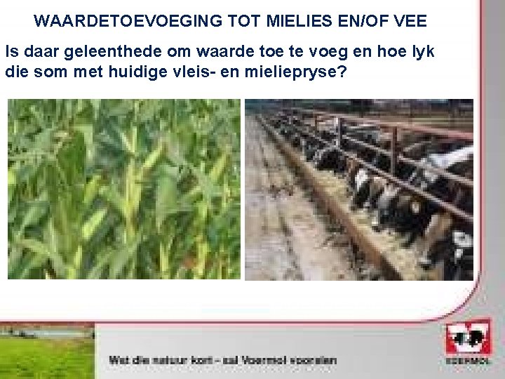 WAARDETOEVOEGING TOT MIELIES EN/OF VEE Is daar geleenthede om waarde toe te voeg en