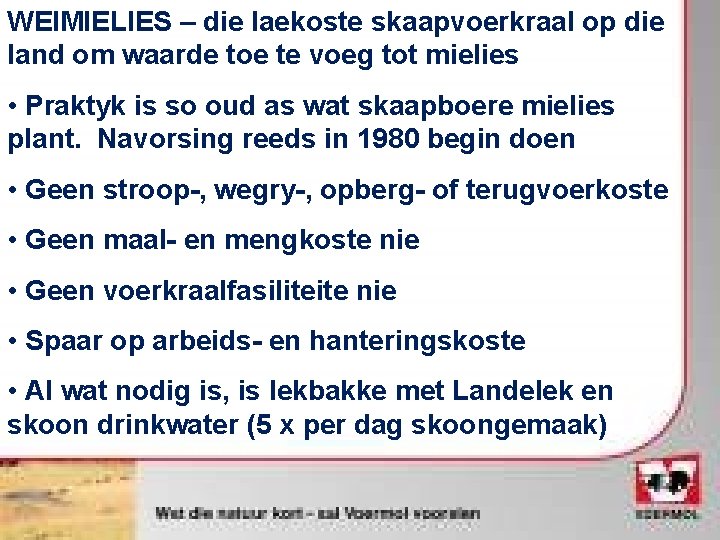 WEIMIELIES – die laekoste skaapvoerkraal op die land om waarde toe te voeg tot