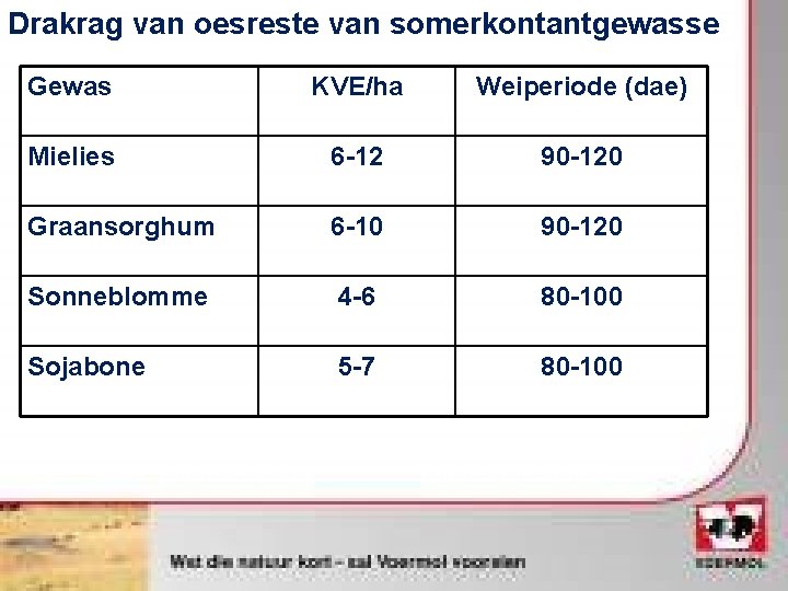Drakrag van oesreste van somerkontantgewasse Gewas KVE/ha Weiperiode (dae) Mielies 6 -12 90 -120