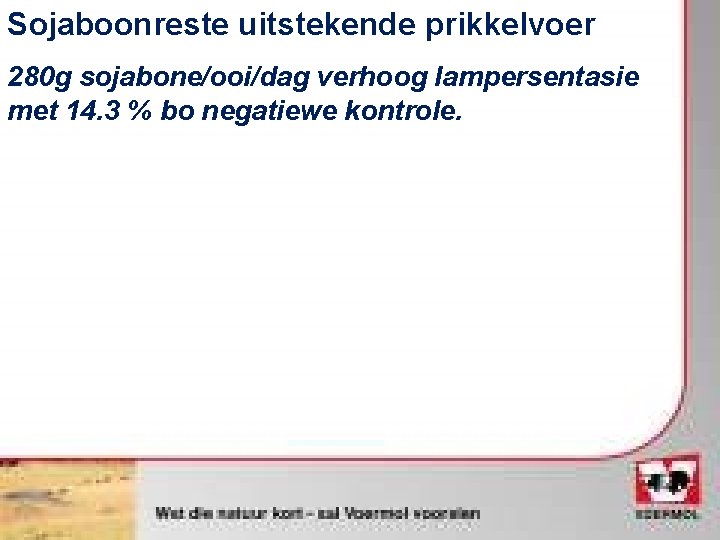 Sojaboonreste uitstekende prikkelvoer 280 g sojabone/ooi/dag verhoog lampersentasie met 14. 3 % bo negatiewe