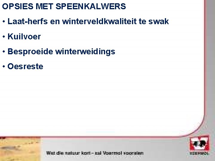 OPSIES MET SPEENKALWERS • Laat-herfs en winterveldkwaliteit te swak • Kuilvoer • Besproeide winterweidings