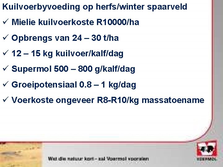 Kuilvoerbyvoeding op herfs/winter spaarveld ü Mielie kuilvoerkoste R 10000/ha ü Opbrengs van 24 –