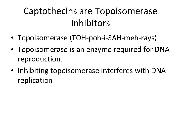 Captothecins are Topoisomerase Inhibitors • Topoisomerase (TOH-poh-i-SAH-meh-rays) • Topoisomerase is an enzyme required for