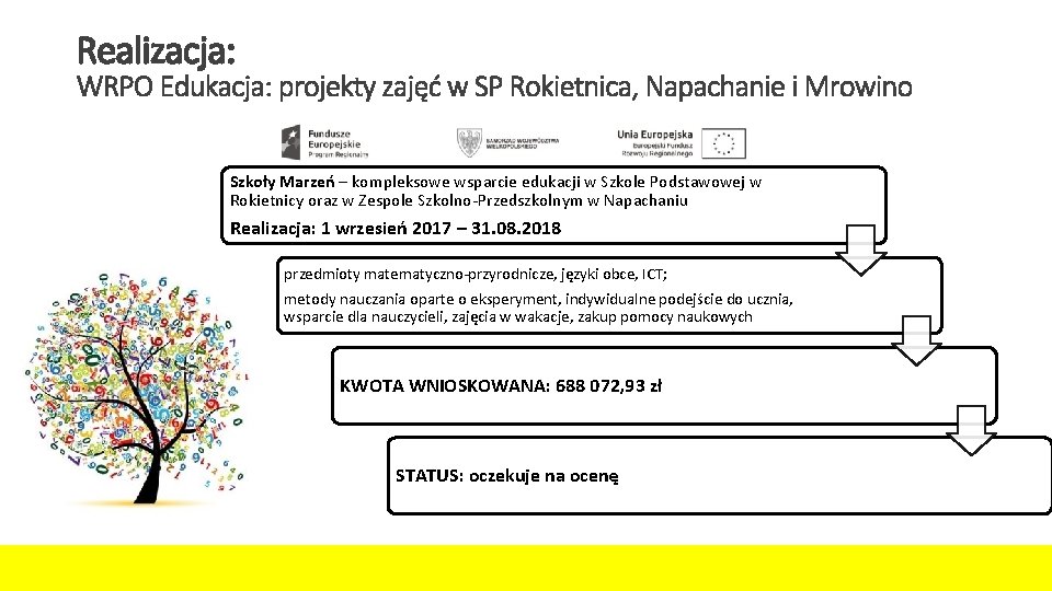 Realizacja: WRPO Edukacja: projekty zajęć w SP Rokietnica, Napachanie i Mrowino Szkoły Marzeń –