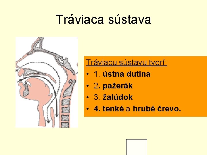 Tráviaca sústava Tráviacu sústavu tvorí: • 1. ústna dutina • 2. pažerák • 3.