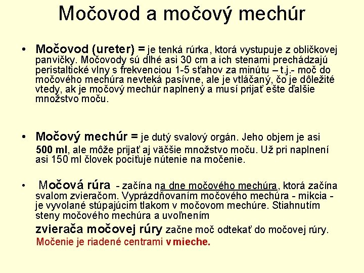 Močovod a močový mechúr • Močovod (ureter) = je tenká rúrka, ktorá vystupuje z