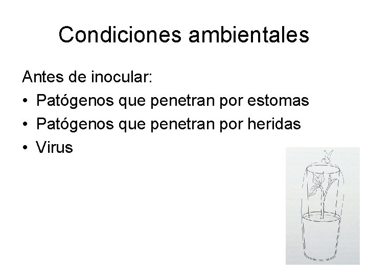 Condiciones ambientales Antes de inocular: • Patógenos que penetran por estomas • Patógenos que