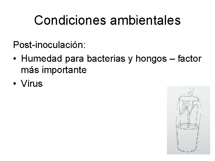 Condiciones ambientales Post-inoculación: • Humedad para bacterias y hongos – factor más importante •
