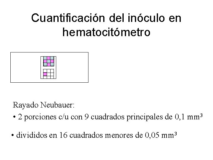 Cuantificación del inóculo en hematocitómetro Rayado Neubauer: • 2 porciones c/u con 9 cuadrados