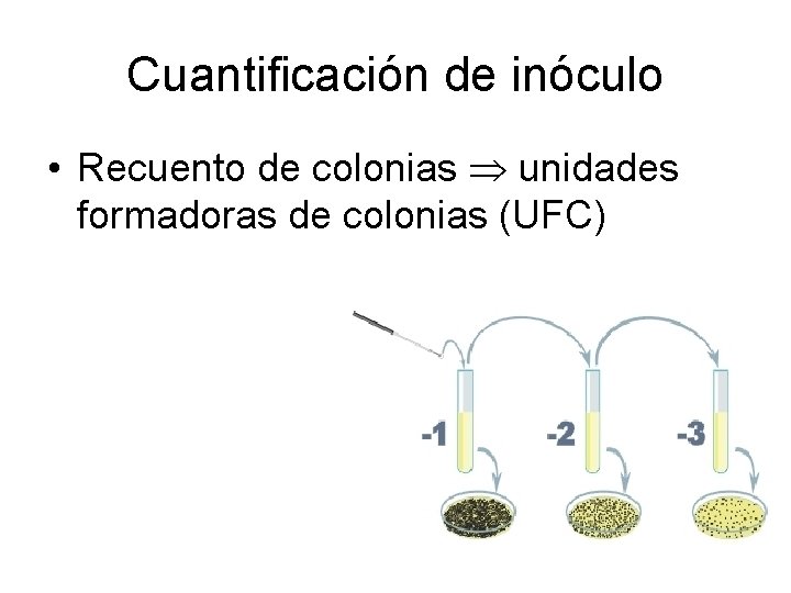 Cuantificación de inóculo • Recuento de colonias unidades formadoras de colonias (UFC) 