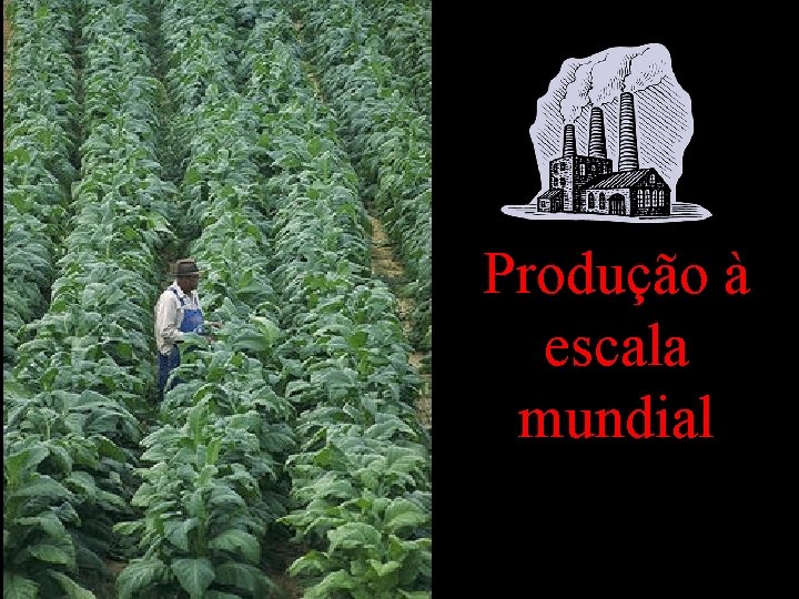 Produção à escala mundial 