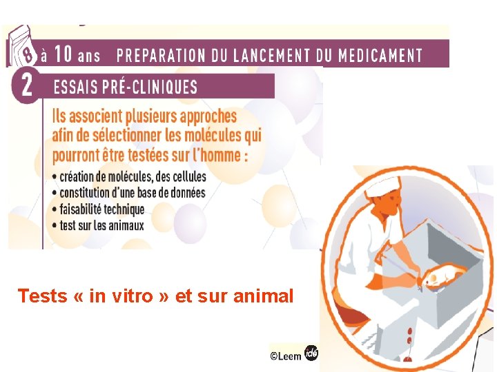 Tests « in vitro » et sur animal 