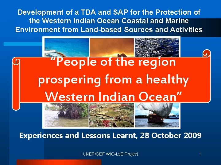 Development of a TDA and SAP for the Protection of the Western Indian Ocean