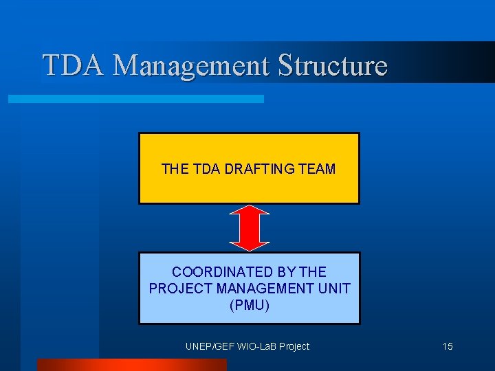 TDA Management Structure THE TDA DRAFTING TEAM COORDINATED BY THE PROJECT MANAGEMENT UNIT (PMU)