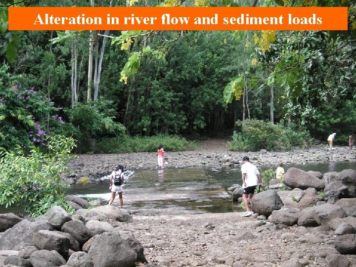 Alteration in river flow and sediment loads UNEP/GEF WIO-La. B Project 19 