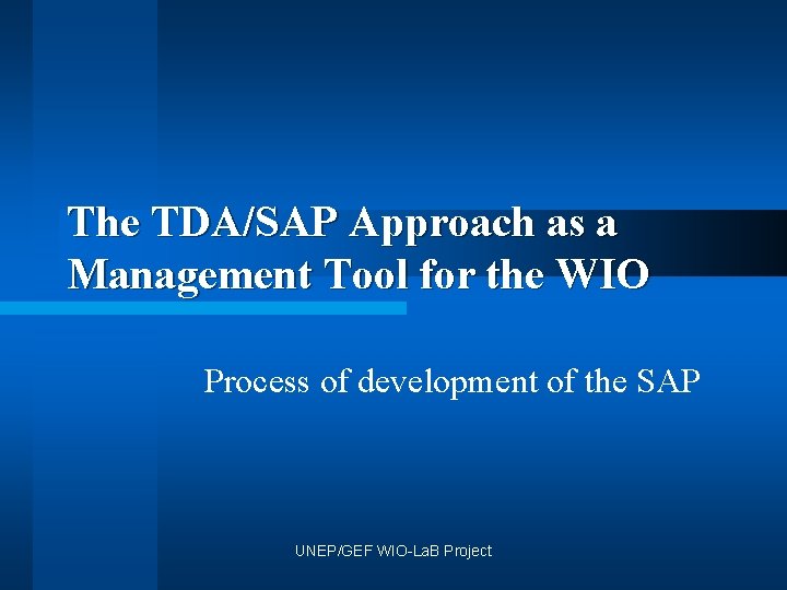 The TDA/SAP Approach as a Management Tool for the WIO Process of development of