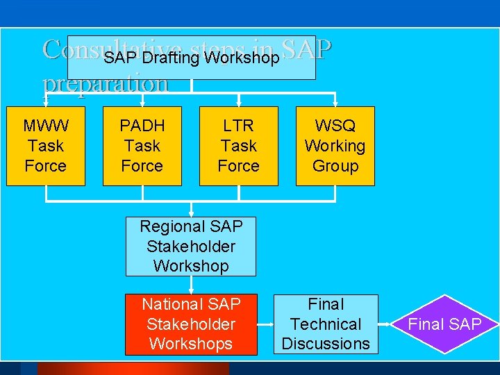 Consultative steps in SAP Drafting Workshop preparation MWW Task Force PADH Task Force LTR