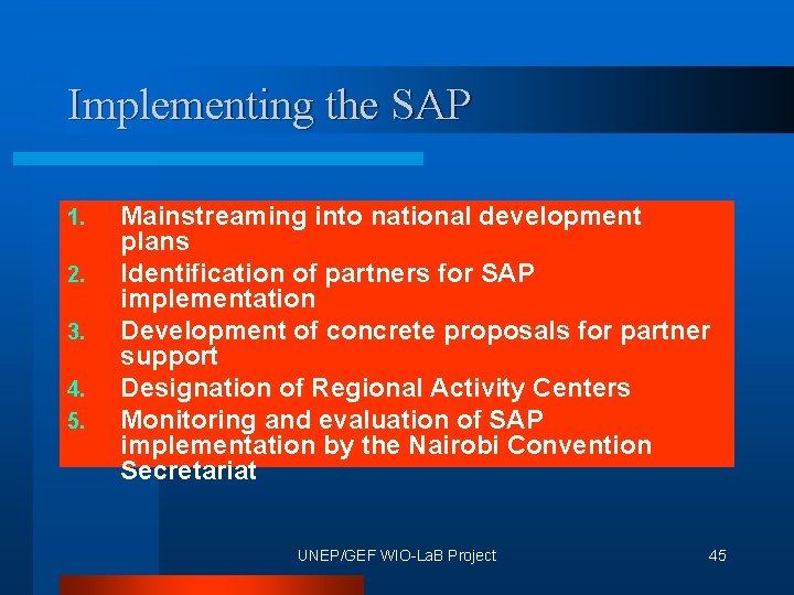 Implementing the SAP 1. 2. 3. 4. 5. Mainstreaming into national development plans Identification