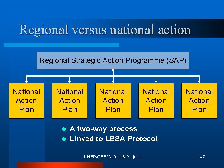 Regional versus national action Regional Strategic Action Programme (SAP) National Action Plan National Action