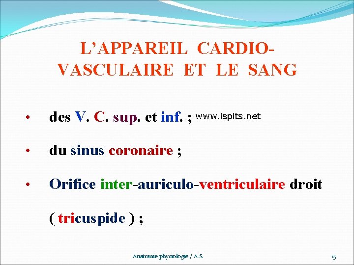 L’APPAREIL CARDIOVASCULAIRE ET LE SANG • des V. C. sup. et inf. ; www.