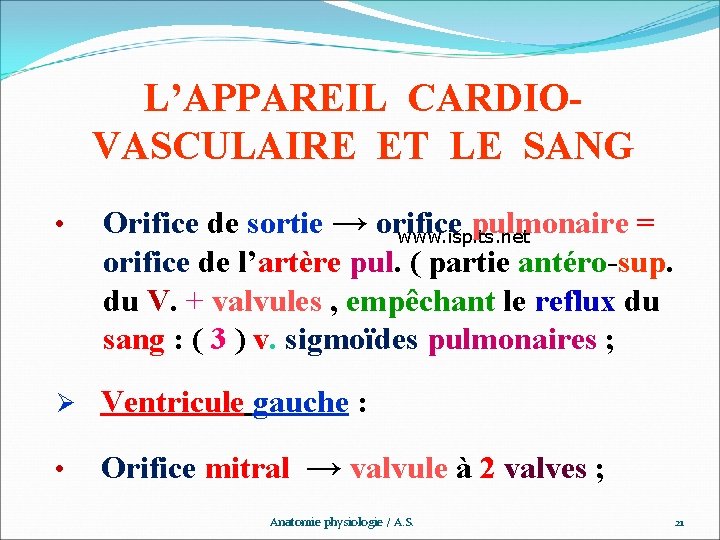 L’APPAREIL CARDIOVASCULAIRE ET LE SANG Orifice de sortie → orifice pulmonaire = www. ispits.