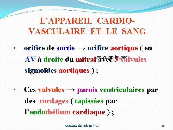 L’APPAREIL CARDIOVASCULAIRE ET LE SANG orifice de sortie → orifice aortique ( en www.