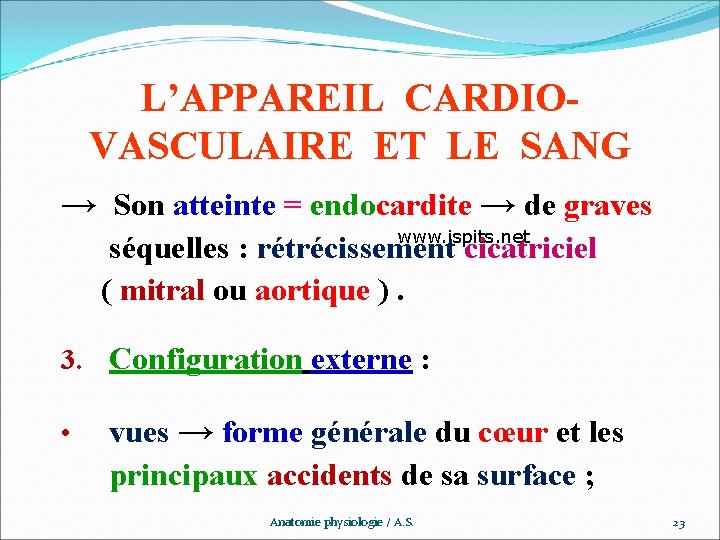 L’APPAREIL CARDIOVASCULAIRE ET LE SANG → Son atteinte = endocardite → de graves www.