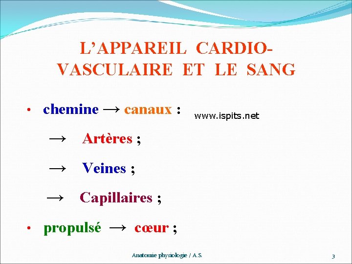 L’APPAREIL CARDIOVASCULAIRE ET LE SANG • chemine → canaux : www. ispits. net →