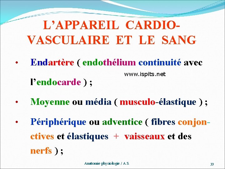 L’APPAREIL CARDIOVASCULAIRE ET LE SANG • Endartère ( endothélium continuité avec l’endocarde ) ;