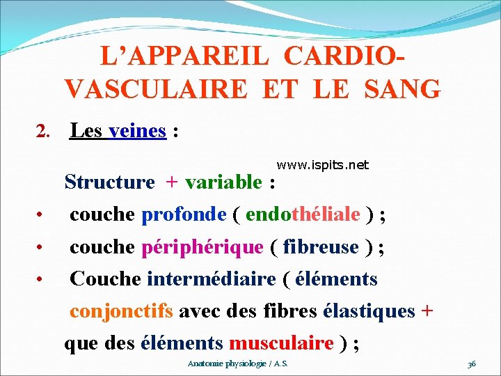 L’APPAREIL CARDIOVASCULAIRE ET LE SANG 2. Les veines : www. ispits. net Structure +