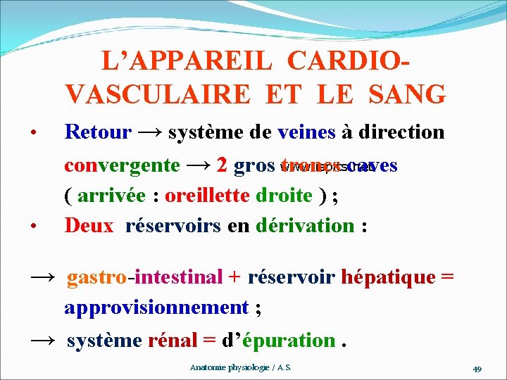 L’APPAREIL CARDIOVASCULAIRE ET LE SANG Retour → système de veines à direction www. ispits.