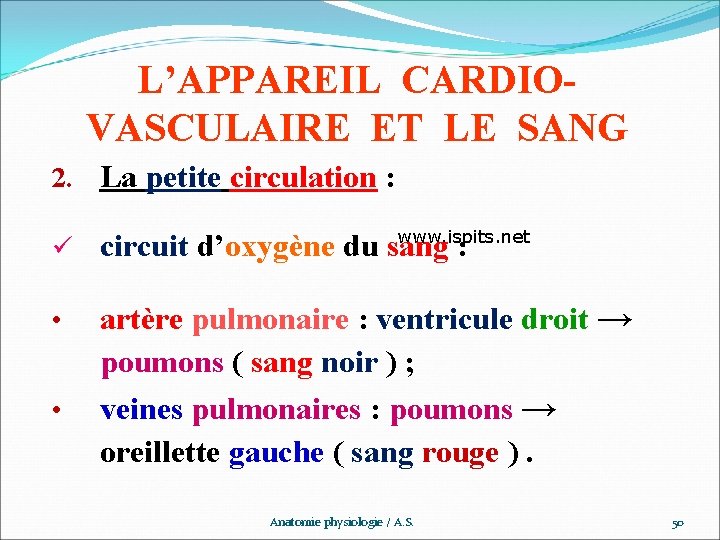 L’APPAREIL CARDIOVASCULAIRE ET LE SANG 2. La petite circulation : ü www. ispits. net