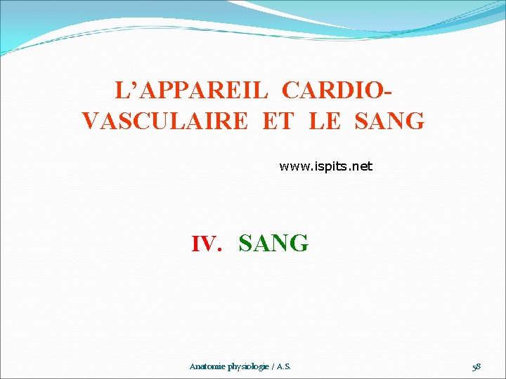 L’APPAREIL CARDIOVASCULAIRE ET LE SANG www. ispits. net IV. SANG Anatomie physiologie / A.
