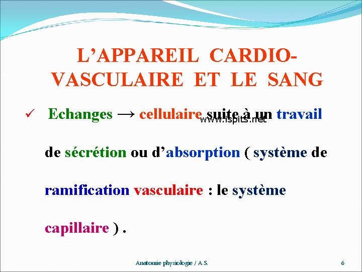 L’APPAREIL CARDIOVASCULAIRE ET LE SANG ü Echanges → cellulaire suite à un travail www.