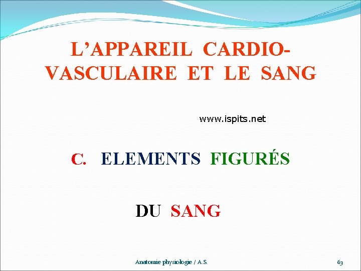 L’APPAREIL CARDIOVASCULAIRE ET LE SANG www. ispits. net C. ELEMENTS FIGURÉS DU SANG Anatomie
