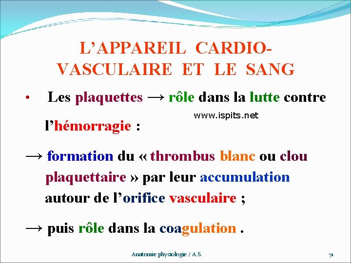 L’APPAREIL CARDIOVASCULAIRE ET LE SANG • Les plaquettes → rôle dans la lutte contre