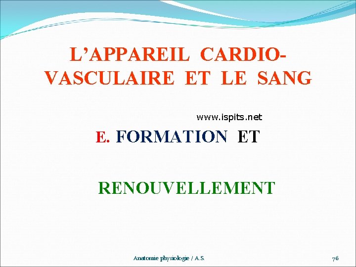 L’APPAREIL CARDIOVASCULAIRE ET LE SANG www. ispits. net E. FORMATION ET RENOUVELLEMENT Anatomie physiologie