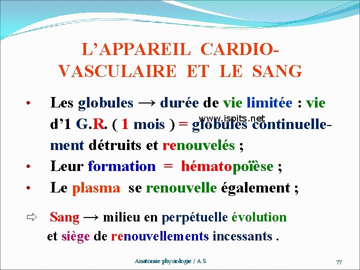 L’APPAREIL CARDIOVASCULAIRE ET LE SANG Les globules → durée de vie limitée : vie