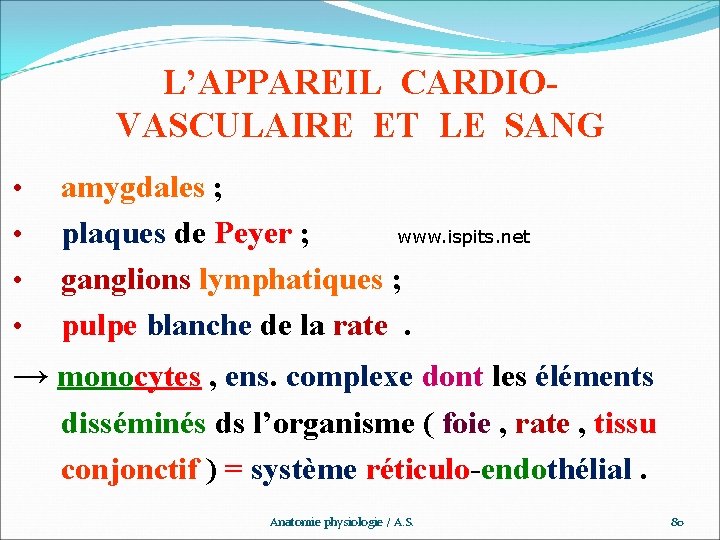 L’APPAREIL CARDIOVASCULAIRE ET LE SANG • • amygdales ; plaques de Peyer ; www.