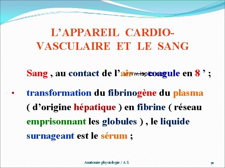 L’APPAREIL CARDIOVASCULAIRE ET LE SANG www. ispits. net Sang , au contact de l’air