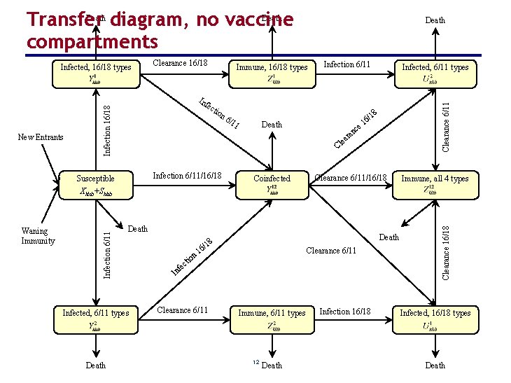 Death Transfer diagram, no vaccine compartments Immune, 16/18 types Inf ec Infection 16/18 New